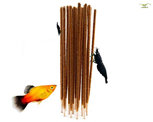 NatureHolic - Garnelen Lollies „InsektenPower“ I hochwertiges Insektenprotein I toller Knabberspaß I ideal zur Handfütterung I hervorragende Verdaulichkeit I 1 Lolli