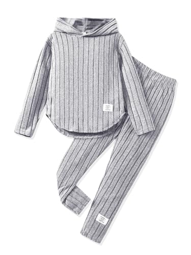 Toddler Girl Fall Clothes Set Warm Sweatshirt Pants Long Sleeve Sweatsuits Winter Hooded Pullover Outfits