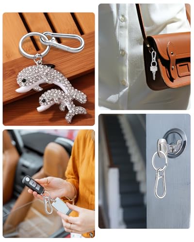 Caianwin 4 Stück Karabiner Schlüsselanhänger Metall Karabinerhaken Klein Schlüsselkarabiner für Schlüssel, Rucksäcke und Charms