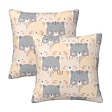 Zateem スローピローケース 猫柄 座布団カバー 2枚セット おしゃれ インテリア 部屋飾り 椅子 車内 ベッド ソファー用