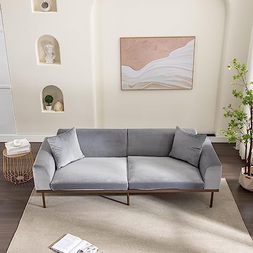 Modern Velvet Sofa With Metal Legs, 2 Seater Couch For Small Space, 2 Throw Pillows, Sofa For Bedroon, Living Room, Apartment,Grey #TOP1