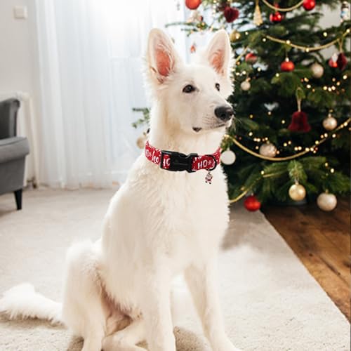 ARING PET Weihnachten Hundehalsband, Niedliche Schneeflocken Hundehalsband mit Schnellverschluss aus Kunststoffschnalle, Winter Bequemes Baumwoll Halsband für Jungen und Mädchen Hunde