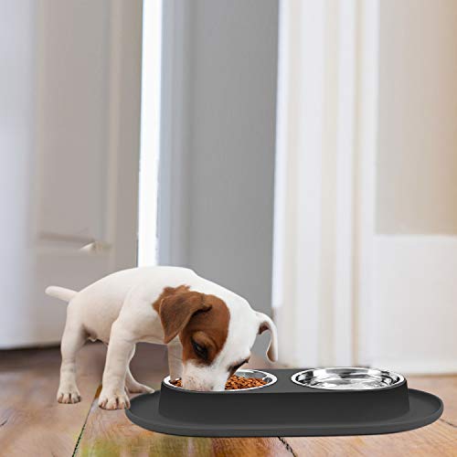 Flexzion Double Dog Bowl Feeding Station, Skid Proof Silicone Base With Spill Proof Raised Lip & Two 12Oz Stainless Steel Bowls For Food And Water, Ideal For Small To Medium Size Dogs Cats Pet, Black #TOP5
