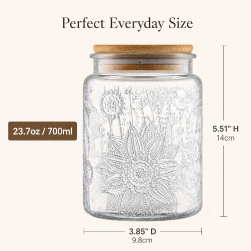 Image of ANSQU 2 Pack Vintage Glass Jars with Lids, Airtight Coffee Storage Jars | Glass Food Storage Containers, Kitchen Canister Set for Coffee Tea Sugar Candy Cookie, Decorative Mason Jars, Cute Jars