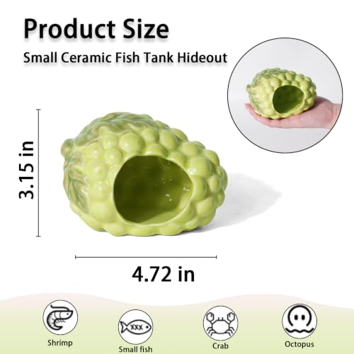 Image of Ceramic Aquarium Decor Cute Grape Green Betta Fish Tank Hide