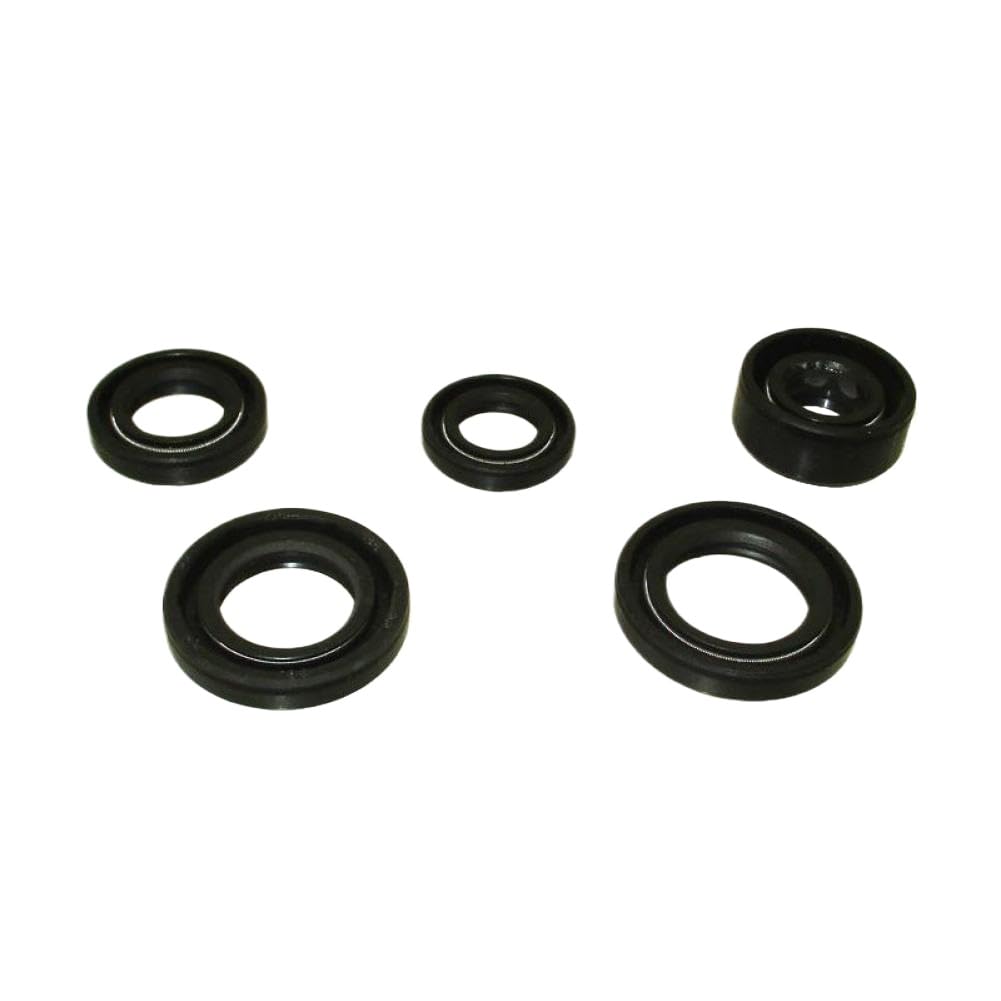 Guarnizioni olio motore compatibili con 50cc 70cc 110cc 125cc Pit Bike Monkey Bike ATV Go Kart