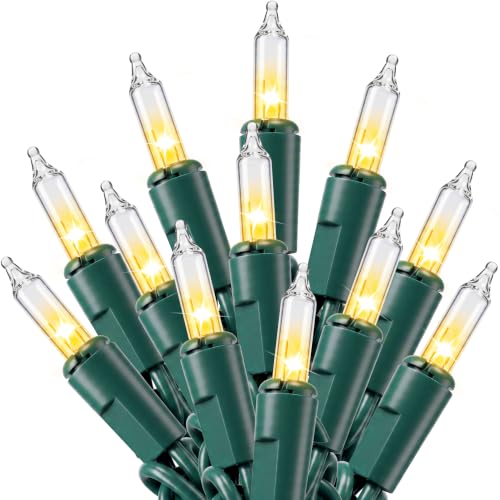 Joiedomi Clear Christmas String Lights Indoor,100 Count Mini White Fairy Light Outdoor,19.4 FT Decor for Patio Dorm Classroom Bedroom Holiday Wedding Party Garland Birthday Festival,Green Wire