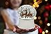 Lightahead Musical Christmas Reindeer Deers Snow Globe Ball with Iron Base and Rotating Playing Tune in Poly Resin
