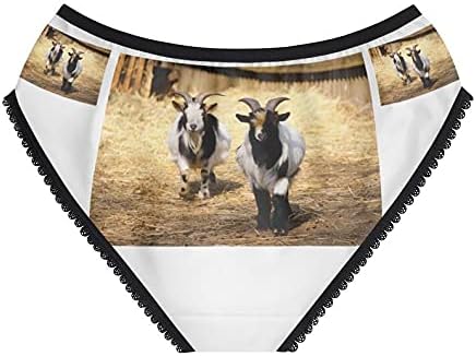 Domestic Goat Panties, Domestic Goat Underwear, Briefs, Cotton Briefs, Funny Underwear, Panties For Women