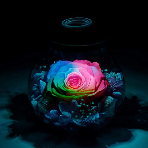 Preserved Real Roses With Colorful Mood Light Wishing Bottle,Eternal Rose，Never Withered Flowers,For Bedroom Party Table Decor, Christmas Anniversary,Valentine's,Mother's Day, Roliys(Multi) #TOP3