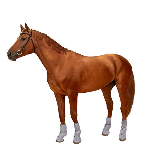 Rural365 Horse Leg Guards Set of 4 - Medium Adjustable Horse Fly Boot Horse Leg Protectors Horse Leg Wraps for Flies - Thumbnail 7