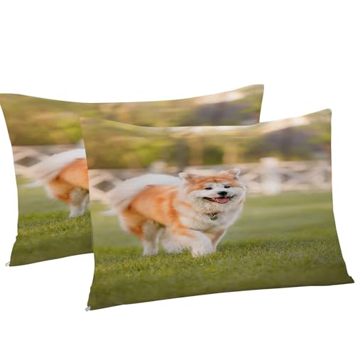 Housse de couette 200x200 fermeture éclair parure lit microfibre
