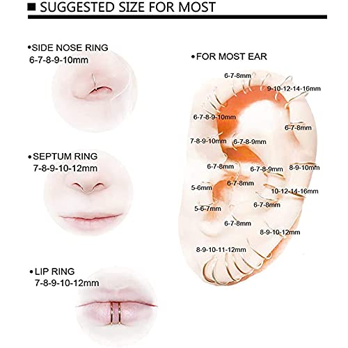 6Pcs G23 Titanium Septum Rings 16G Diameter 6Mm/8Mm/10Mm Hinged Nose Ring Hoops For Women Men Girls Cartilage Hoop Earrings Body Piercing Rings Black/Silver/Gold/Rose Gold Lip Rings (Pink) #TOP2