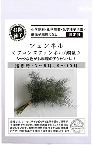 グリーンフィールドプロジェクト【有機種子・固定種】フェンネル<ブロンズフェンネル / 銅葉> A513