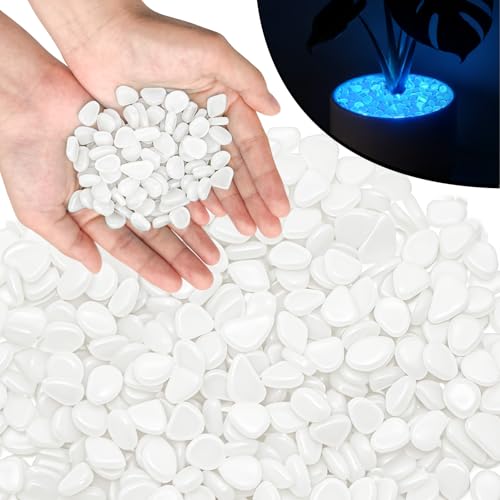 PoYang 2000pcs Glow in The Dark Rocks Outdoor Decor, White, 2.4 lbs/Bag