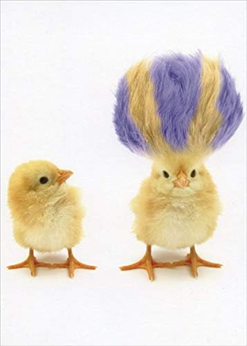 Designer Greetings Chick with Tall Purple and Yellow Hair Funny/Humorous Feminine Birthday Card for Her : Woman : Women