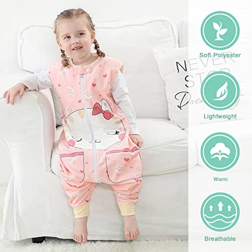 Image of MICHLEY Unisex Baby Wearable Blanket Autumn Winter Toddler Sleeveless Sleeping Bag with Feet,Cat,1-3T