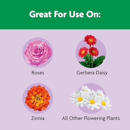 Image of Miracle-Gro Shake 'N Feed Rose & Bloom Plant Food, 4.5 lb