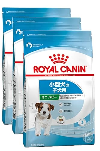 ロイヤルカナン ミニパピー 15kg ロイヤルカナン SHN ミニ インドア パピー（子犬用）｜みんなの