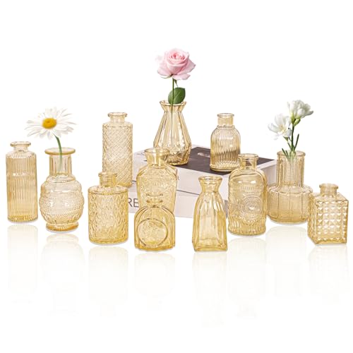 Set of 12 Glass Bud Vase Set Small Vintage Clear Flower Vase Centerpieces for Table Bulk Cute Rustic Style Mini Vase for Home Decor Wedding Baby Shower Birthday Party(Champagne)
