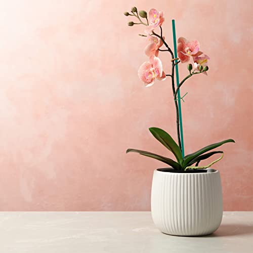 Supking 30Pcs Plant Stakes,Sturdy Green Bamboo Sticks 17", Garden Wood Plant Stakes For Tomatoes,Beans,Vegetable And Potted Plants,Wooden Sign Posting Garden Sticks #TOP4