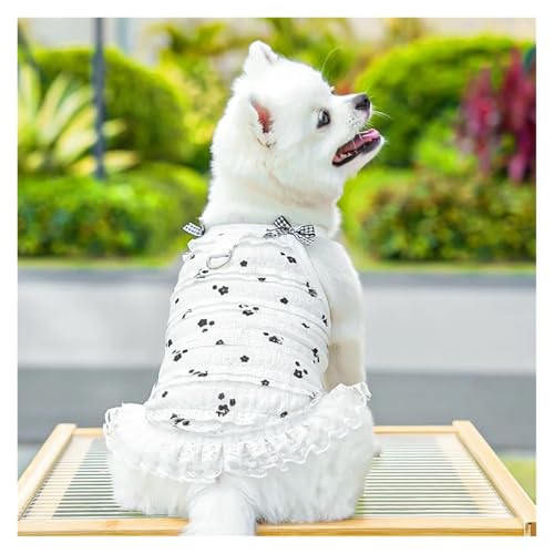 Robe de luxe en dentelle pour chien chic - Vêtement princesse caniche
