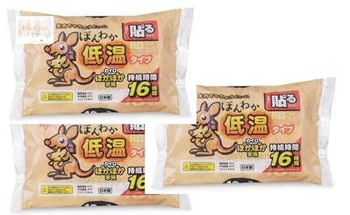 ۂۂƑ ɍœK ق킩ቷJC \ M[ 10 XIWiJ[ht (3)