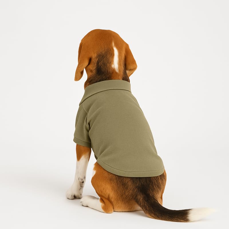 Image of Thunder Tails Premium Cotton Polo Dog T-Shirt | for Small Dogs & Puppies |Olive| Large | for Pugs, Lhasa Apso, Poodle, Dachshund & Pomerian