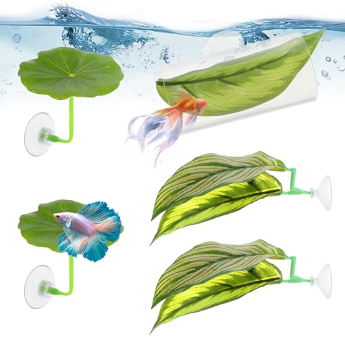 5 Betta nbN \tg ANAE  vX`bN A t x^`[u gl    B zՕt y A x X|bg ̂  x u[fB