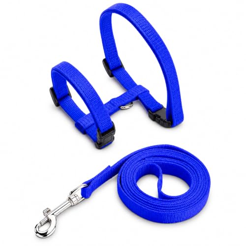 Image of PetVogue Basic Full Body Cat Harness with Leash Set for Walking for Cats Adjustable Soft Sturdy Escape Proof Kitten Vest Harness and Leash with Reflective Strip for Large Medium Small Cat (Blue)
