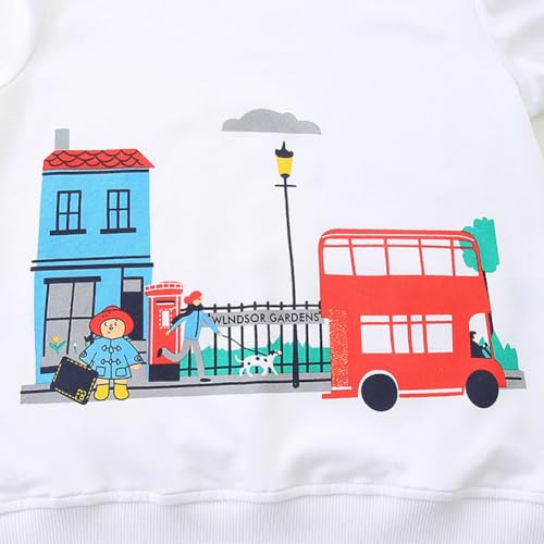Boys Sweatshirts Casual Sweatshirts Cotton Sweatshirts Long Sleeve T-shirts Crew Neck Cartoon Tops for Boys-3794