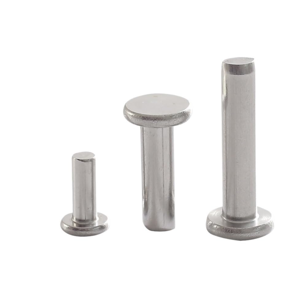 JINFEUGE Sus 304 Solid Rivets Knock Flat Head Rivet M2-M6/30Mm/M3 (20Pcs)
