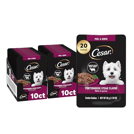 Cesar Filets in Gravy Wet Dog Food, Porterhouse Steak Flavor, 1.76 oz. Mini-Pouch, 20 Count