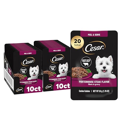 Image of Cesar Filets in Gravy Wet Dog Food, Porterhouse Steak Flavor, 1.76 oz. Mini-Pouch, 20 Count