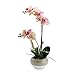Produktbild Scott Living Künstliche Orchidee im Topf, 51 cm, Pink