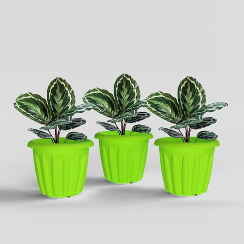 Image of YUCCABE ITALIA SHERA Floot 8 Inch Plastic Flower Pot 3 Piece Set of Round Shape Planter for Home Garden Seedling Planter for pots (Green)