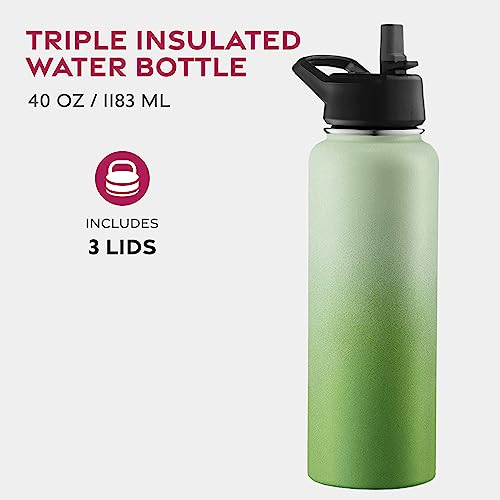 FineDine Water Bottle, Stainless Steel Insulated Water Bottle with Straw Lid, Flip Lid & Wide-Mouth Cap, Keeps Hot and Cold - Image 2