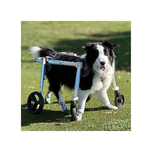 4 Wheels Pet Wheelchair for Front Back Legs, All Dog Breed Dog Full Support Assist Treadmill, Adjustable Portable Leg Braces Wheel Chair(Large)