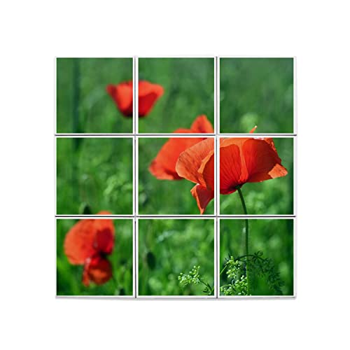 Carreaux céramique coquelicots 45x45 cm pour fresque murale cuisine