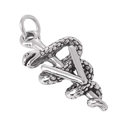 Preisvergleich Produktbild TheCharmWorks Sterling Silber 3D Tiermediziner Charm