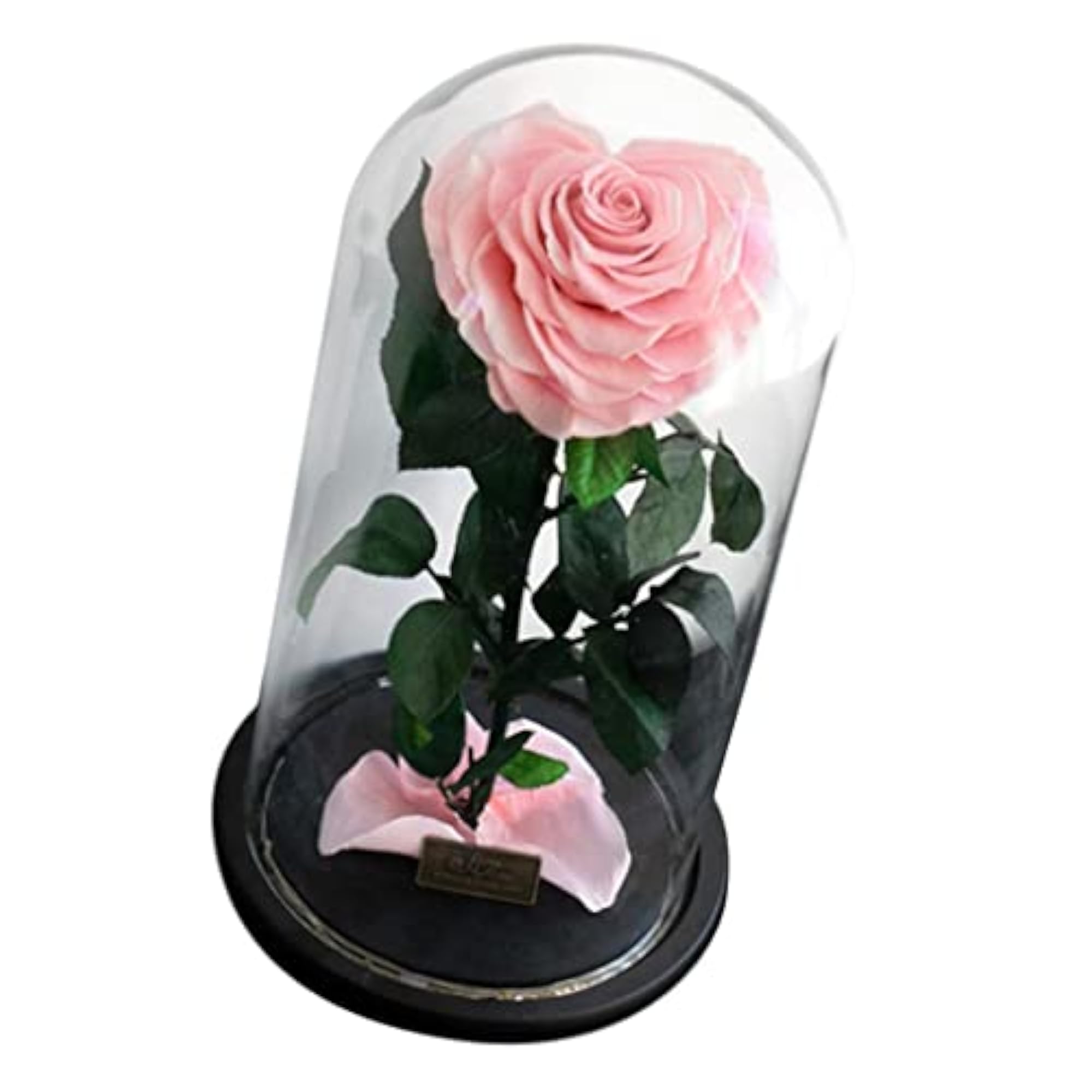 Heart-Shaped Rose Preserved Flowers with Gift Box