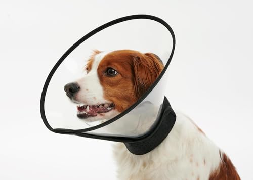 Kruuse Buster Complete Collar - Dog Recovery Collar - 5 sztuk - 30 cm