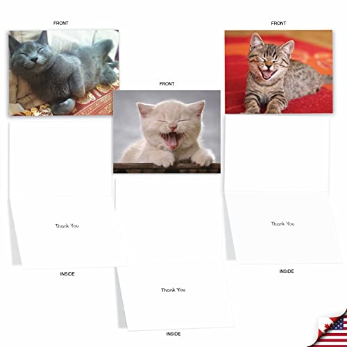 Image of The Best Card Company 10 Assorted Thank You Notes Bulk Box Set 4 x 5.12 Inch with Envelopes (10 Designs, 1 Each) Smitten Kittens M6485TYG