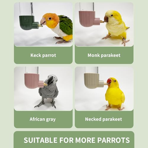 AOTU Bird Cage Accessories, Bird Water Bottle & Dispenser for Cage 7.4 Fl Oz Automatic No Mess Parrot Water Dispenser &ndash; Clear Feeder for Parakeet, Conure, Cockatiel, Lovebird & Canary
