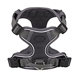 Pour assurer la visibilité sur la route la nuit du .cv, une bande hautement réfléchissante a été appliquée sur le côté de la sangle.