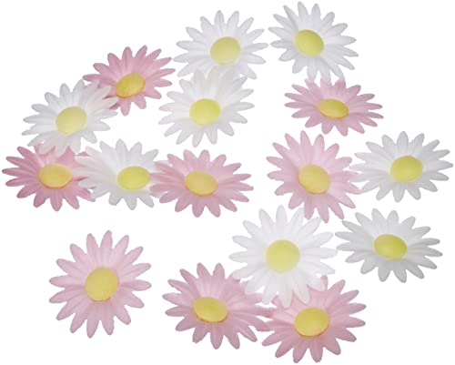 ScrapCooking 2262 décos azymes 18 Margaritas ingrédients 8 x 9,5 x 9,5 cm, Multicolor