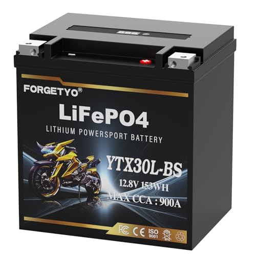 Lithium YTX30L-BS 12V 12AH Motorcycle & ATV Battery