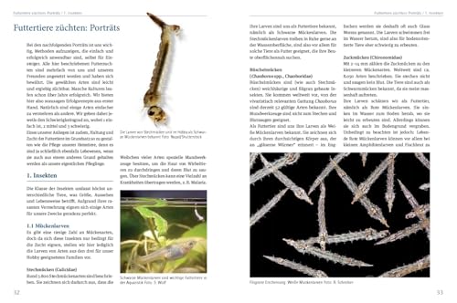 Lebendfutter selber züchten