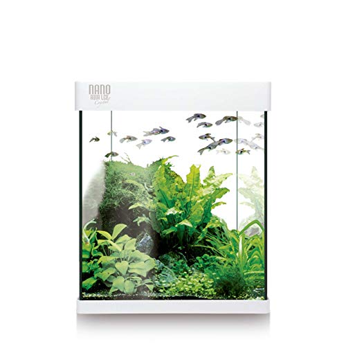 ICA KNA10 Kit Nano Aqualed Crystal 10, Crema