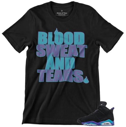 Shirt to Match Jordan 6 Aqua Retro Men's Graphic Tee